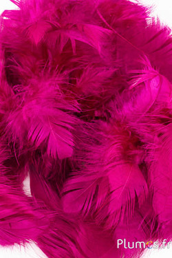 Hen -  5-9 cm - fuchsia